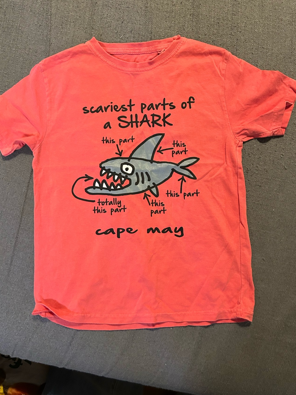 Blue 84 Coral Pink Logo Crewneck Tee